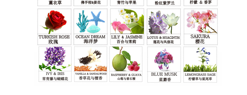 无火香薰精油套装陶瓷鸟巢熏香礼盒 小鸟A134