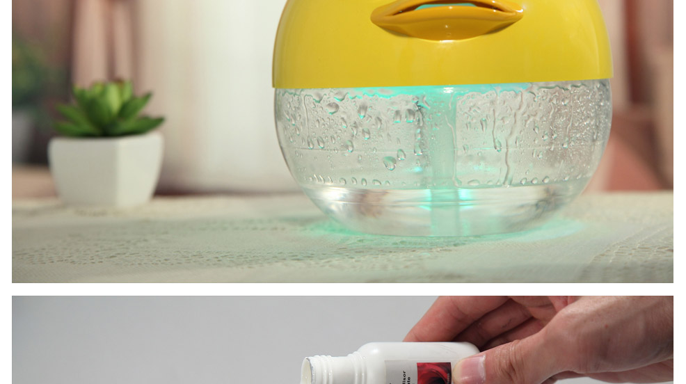 Office household air purifier rhubarb duck 2904