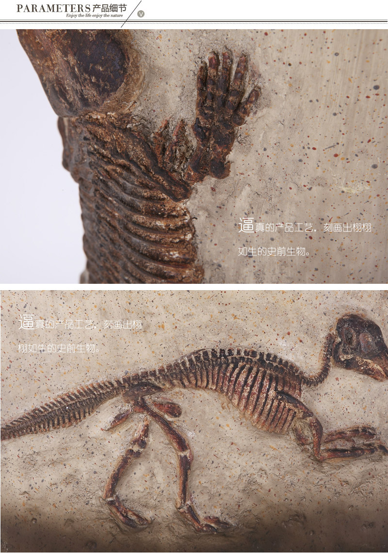 仿古树脂动物化石恐龙化石花瓶花器插花杂物盘装饰工艺品CF1120187（88.89）-F393