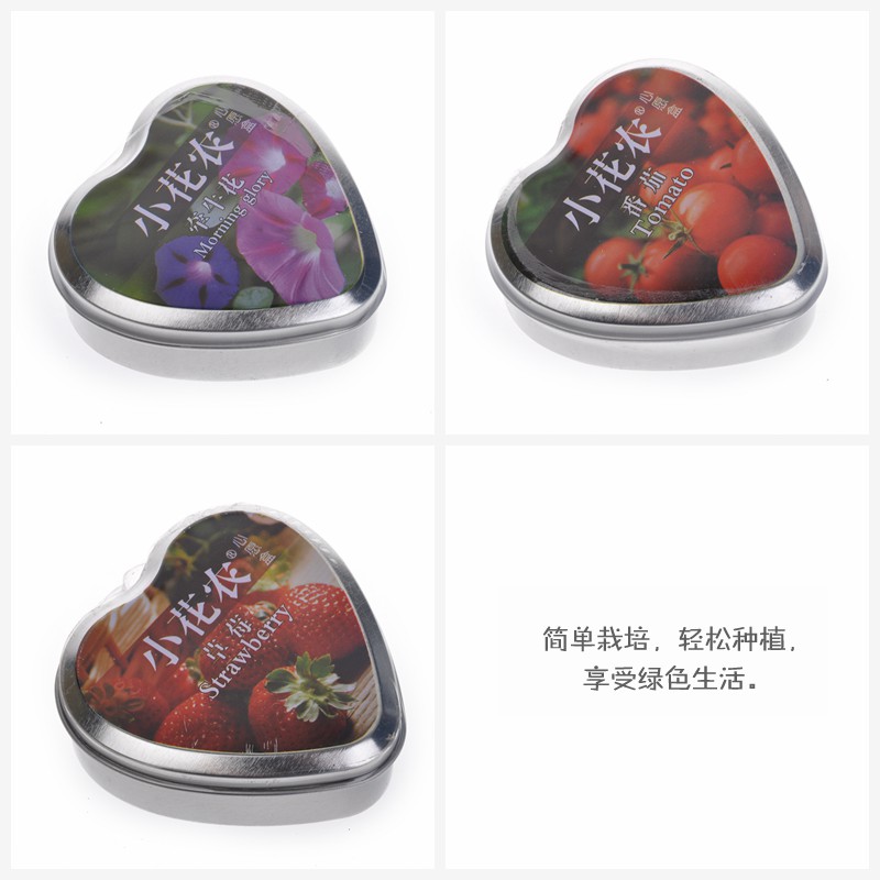 心愿盒迷你盆栽 心语心愿DIY 447283
