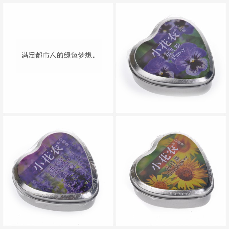 心愿盒迷你盆栽 心语心愿DIY 447284