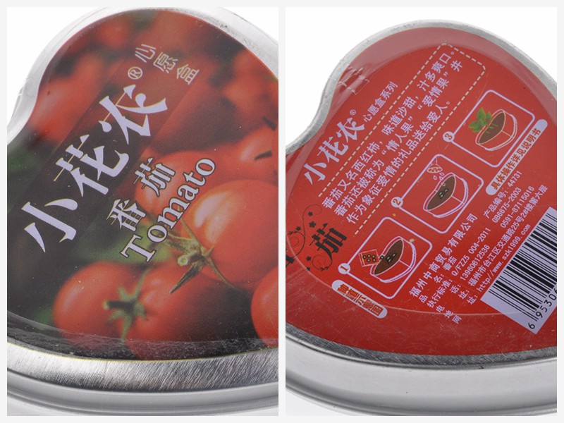 心愿盒迷你盆栽 心语心愿DIY 447285