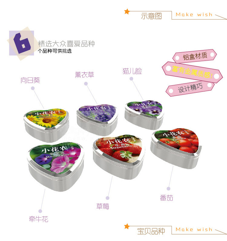 心愿盒迷你盆栽 心语心愿DIY 447287
