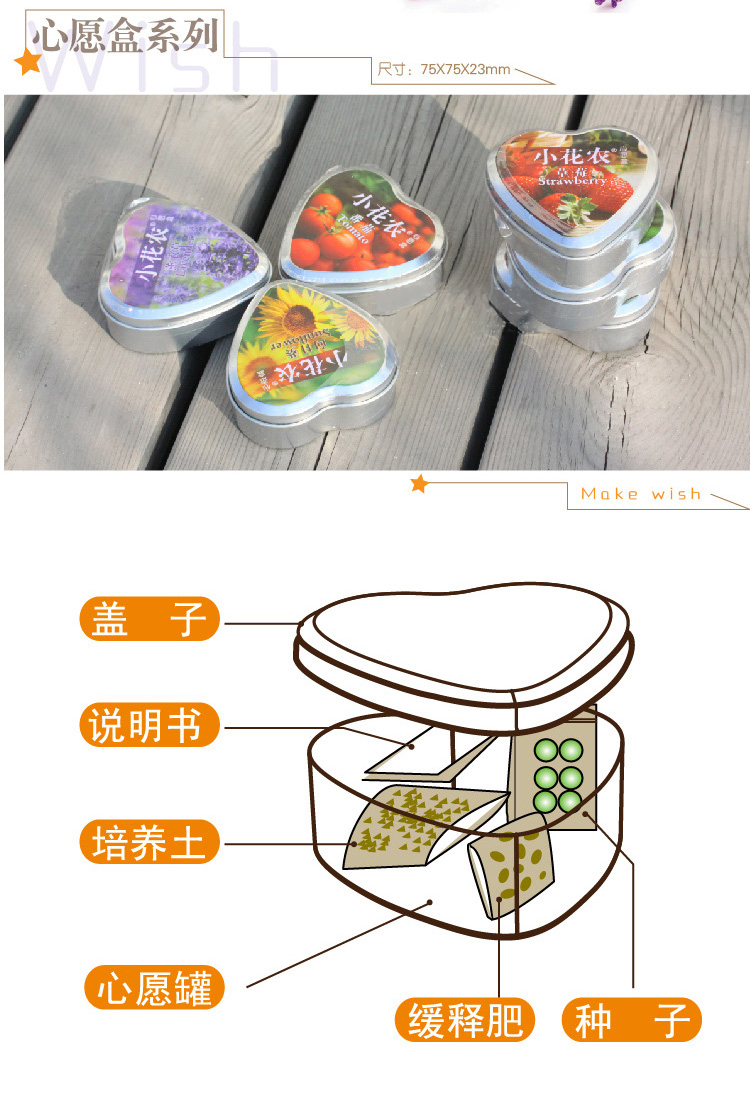 心愿盒迷你盆栽 心语心愿DIY 447289