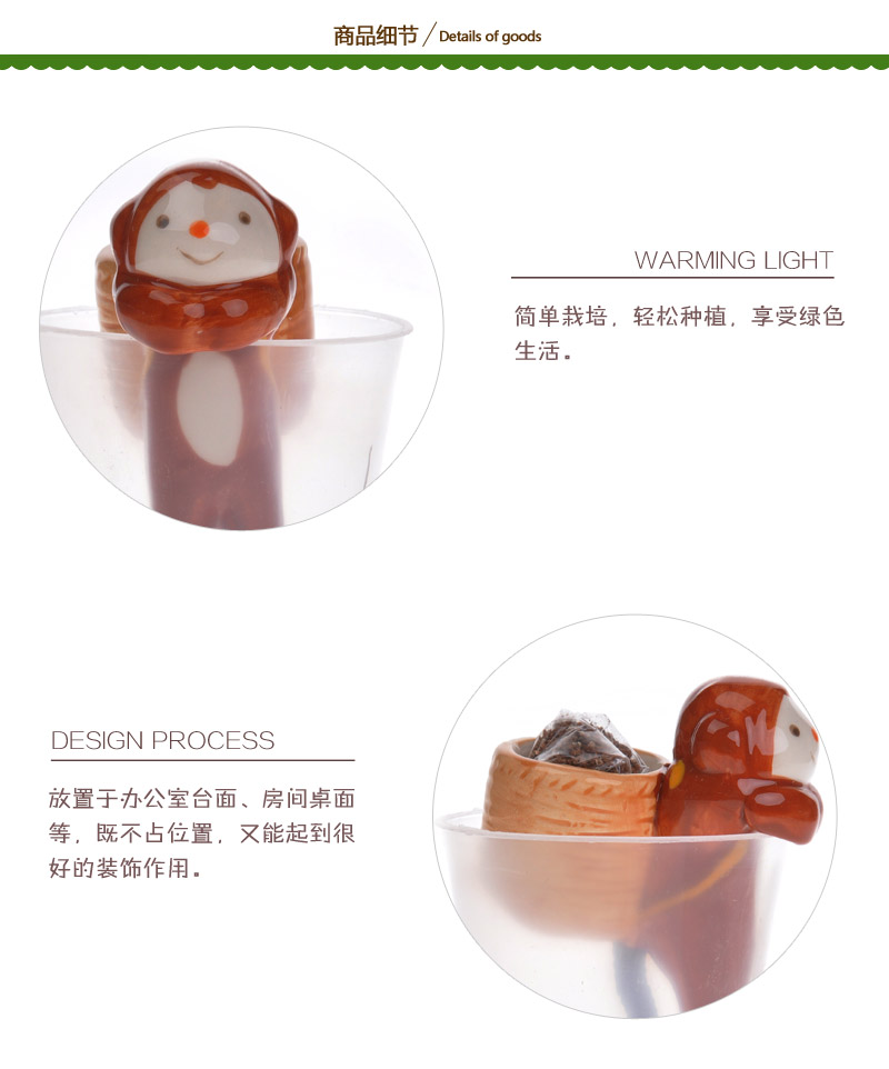 背包客创意礼物尾巴吸水植物 桌面迷你盆栽432684