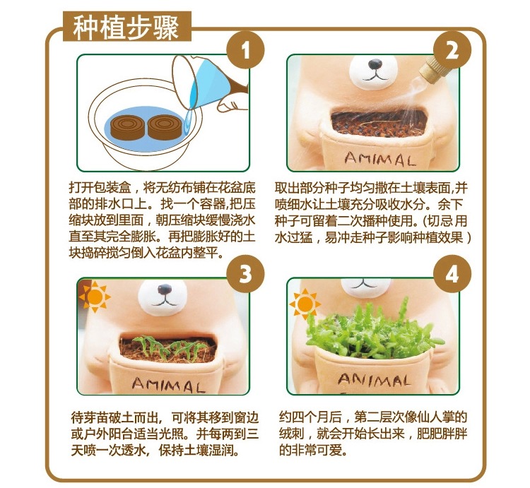 桌面宝贝可爱萌小动物迷你创意盆栽火龙果 401105