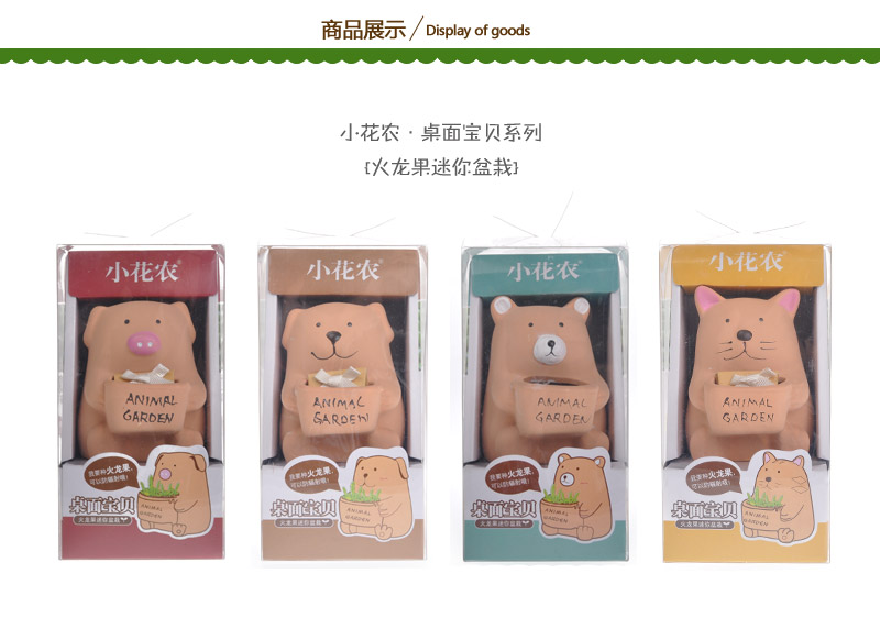桌面宝贝可爱萌小动物迷你创意盆栽火龙果 401101