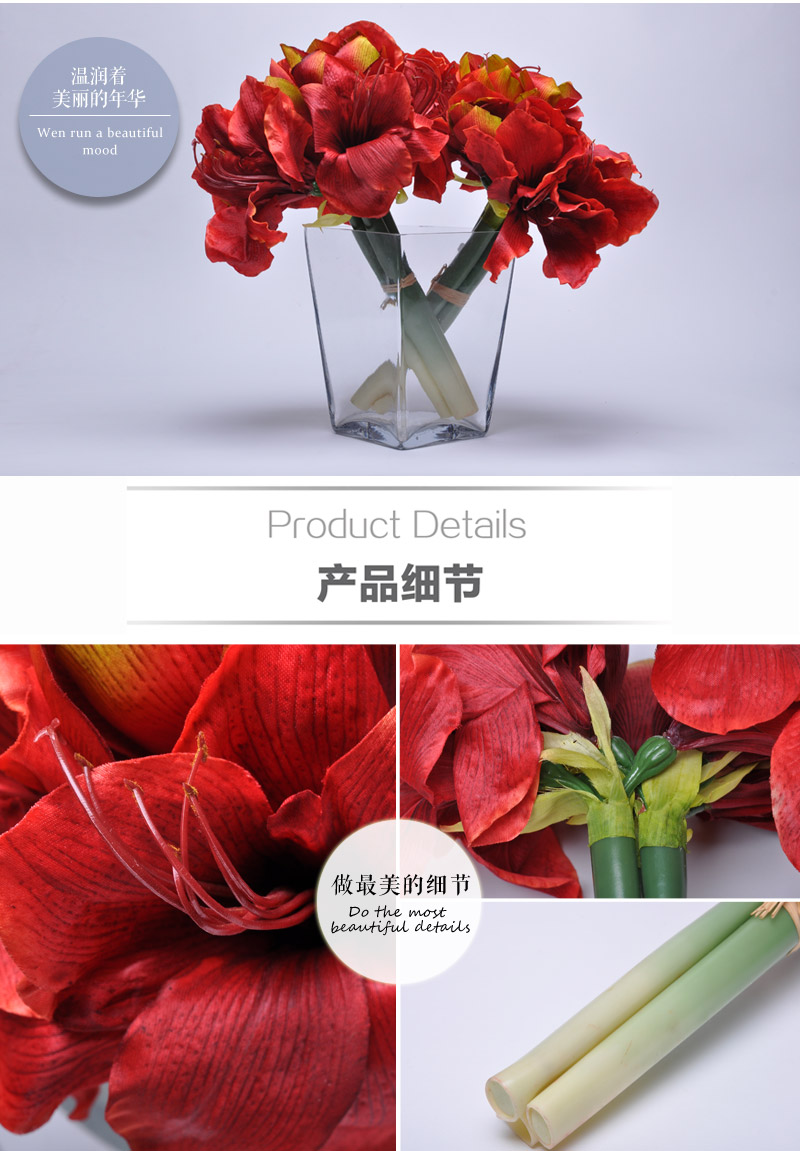 仿真把束君子兰 家居装饰花 假花绢花客厅茶几摆放花婚庆花TWC-10006-RE4