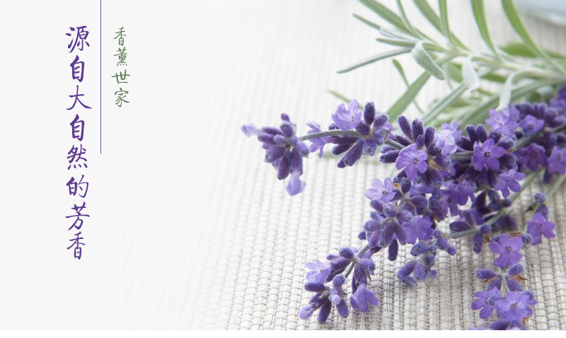 卡通小熊干花香包 香薰香料防虫香包 汽车衣柜香囊香袋JA-5011