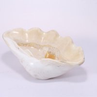 砗磲摆件纯天然精品砗磲摆件砗磲标本摆件美观大方辟邪镇宅招财之宝D20