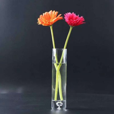 东祺工艺高档透明玻璃加厚气泡底小花瓶富贵竹水培直筒花瓶欧式家居饰品摆件