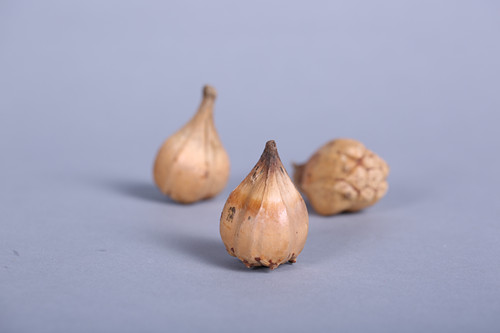 西式天然菠萝果摆设家居装饰插花搭配3
