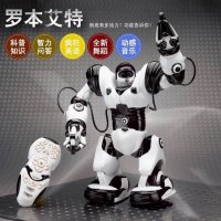 罗本艾特