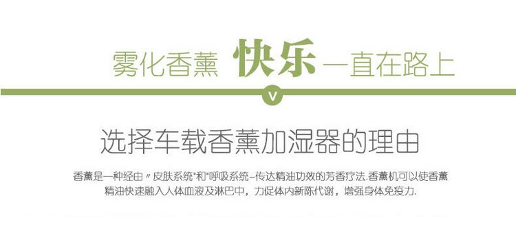 加湿器 车载加湿器 香薰加湿器 负离子加湿器 超声波加湿器19