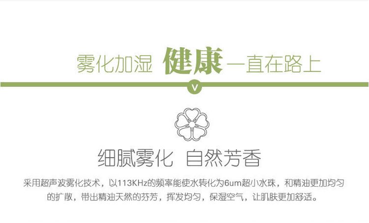 加湿器 车载加湿器 香薰加湿器 负离子加湿器 超声波加湿器9