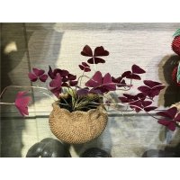田园简约风格小精品木纹手工盆花器家居装饰摆件