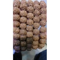 小金刚