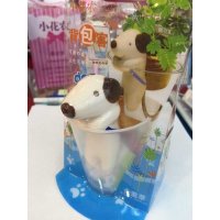 背包客创意礼物尾巴吸水植物 桌面迷你盆栽43268