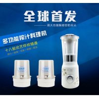 汇源多功能电动榨汁机汇源果汁机搅拌料理机绞肉碎肉干磨J04