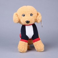 12寸卫衣狗毛绒狗狗 毛绒玩具 毛绒公仔创意儿童可爱玩偶NB02