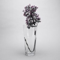 透明系列玻璃花瓶家居玻璃花瓶摆件CDT00187(大）CDT00188(小）