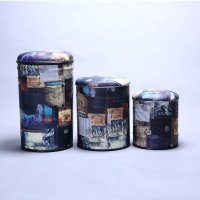 不锈钢时尚收纳凳 时尚创意花纹收纳凳换鞋凳储物凳 SN35X60-3