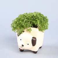 创意园艺师迷你盆栽 动物总动员可爱创意盆栽 家居办公室小盆栽 DWZDY