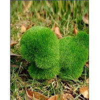 田园创意仿真绿色小狗摆件家居软装