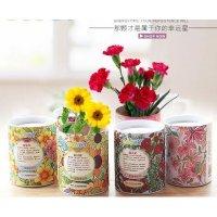 创意园艺十二星座绿色鲜花盆栽精致礼物