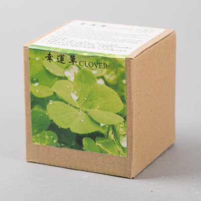 创意迷你幸运草盆栽 办公室桌面绿色小植物 XYC