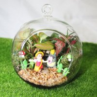 微景观成品套装 倒置不散微景观生态瓶 苔藓景观瓶 花瓶
