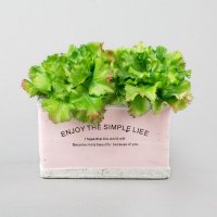 创意PU仿真食品两棵绿菜花装饰拍摄道具（不含税）