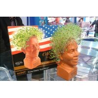 绿色创意奥巴马长头发系列盆栽