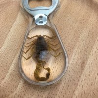 不锈钢啤酒开瓶器昆虫标本人工琥珀创意礼品个性礼物