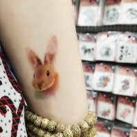 2016年新款水彩纹身贴纸兔子老虎鸭子狼猫