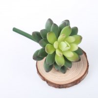 仿真宝石莲花 多肉植物 肉肉绿植拼盘DIY