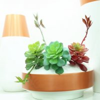 仿真有芽高升雪莲花 多肉拼盘植物