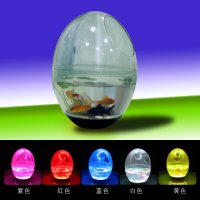 蛋形创意花盆绿植盆栽花盆养鱼水培塑料圆形LED灯花盆
