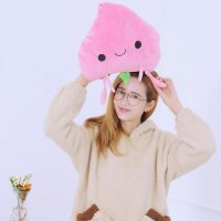 双插手毛绒玩具卡通充电热水袋 安全防爆自动断电