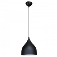 W-6256 黑色 铁艺+铝材小吊灯