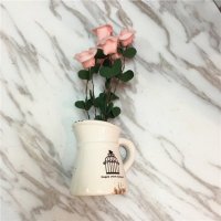 家居装饰高仿真植物花卉盆栽