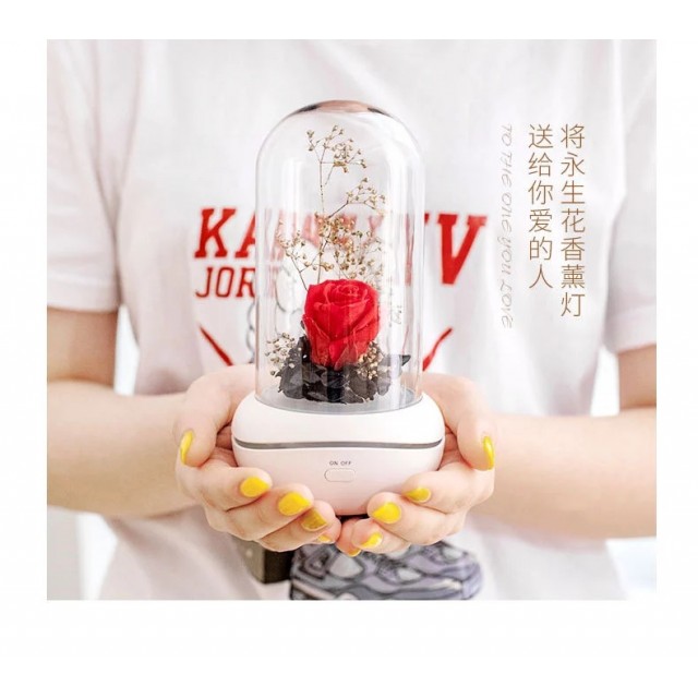 永生花 香薰机 小夜灯