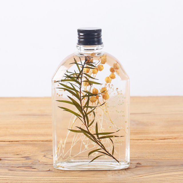 植物标本手工套件
