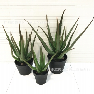 厂家直销仿真芦荟盆景多肉盆栽北欧仿真植物家居客厅装饰橱窗装饰