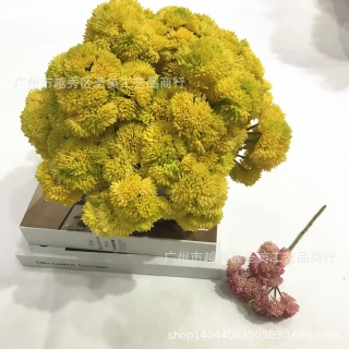 仿真多肉植物相框花绣球果小盆花配材手感软胶菜花 假花花批发