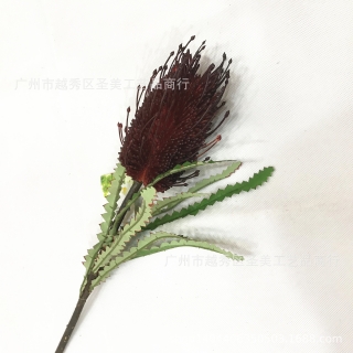 高档仿真花单支佛塔花热带帝王花塑料假花桌面装饰婚庆摄影
