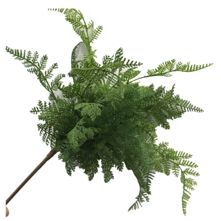 仿真蕨草羊齿叶铁线蕨仿真植物批发植物墙用品 插花绿植pvc洋齿蕨
