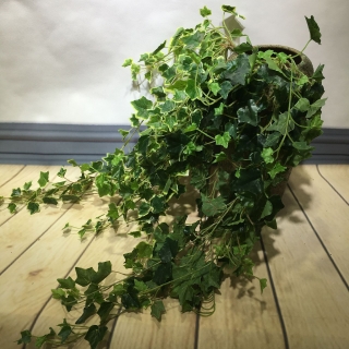 仿真美国地瓜叶壁挂仿真植物藤条藤蔓装饰花绿植墙吊假花爬山虎