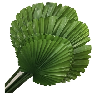 仿真植物厂家直销圆形棕叶 花艺套装仿真叶片扇形叶插花