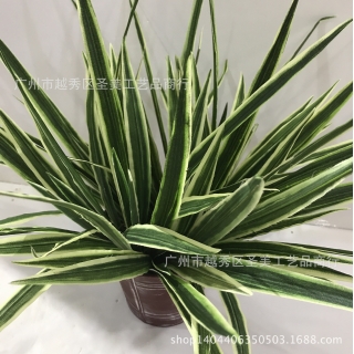 仿真吊兰草11片白边叶仿真植物配材园林景观厂家批发花墙